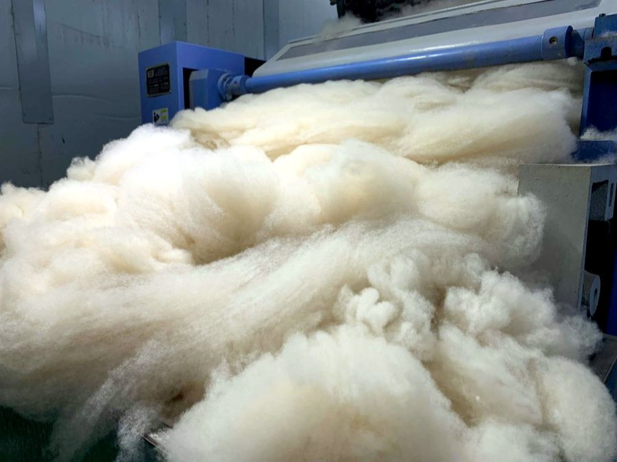 3509.9 тонн самнасан ноолуурыг 288.8 сая ам.доллараар экспортолжээ